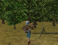 Screenshot zu Highland Warriors - 2003/02/ACFCED.jpg
