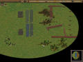 Screenshot zu American Conquest: Fight Back! - 2003/05/Schlachtfeld.jpg