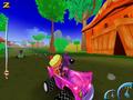 Screenshot zu Pet Racer - 2003/07/race_3.jpg