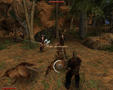 Screenshot zu Gothic 2: Die Nacht des Raben - 2003/09/Levelup.jpg
