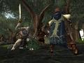 Screenshot zu Der Herr der Ringe Online: Die Schatten von Angmar - 2003/11/meo_oldforest_04.jpg