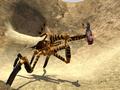 Screenshot zu Starship Troopers - 2005/05/1077.jpg