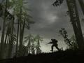 Screenshot zu Battlefield 2 - 2005/05/3306.jpg
