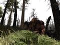 Screenshot zu Gothic 3 - 2005/07/2470.jpg