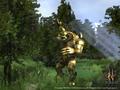 Screenshot zu Two Worlds - 2005/12/3653.jpg