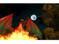 Screenshot zu Neverwinter Nights 2 - 2006/01/11297.jpg