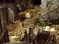 Screenshot zu Gothic 3 - 2006/01/3704.jpg