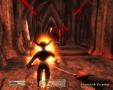 Screenshot zu The Elder Scrolls 4: Oblivion - 2006/03/1142864884364.JPG