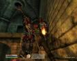 Screenshot zu The Elder Scrolls 4: Oblivion - 2006/03/1142864894528.JPG