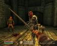 Screenshot zu The Elder Scrolls 4: Oblivion - 2006/03/1142864897344.JPG