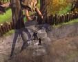 Screenshot zu Silverfall - 2006/03/1142950273329.JPG