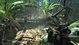 Screenshot zu Crysis - 2006/03/1143608855291.JPG