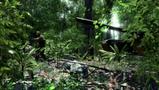Screenshot zu Crysis - 2006/04/1145510929109.JPG