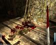 Screenshot zu Dark Messiah of Might & Magic (dt.) - 2006/04/DM_Screen_Classics_broche.jpg