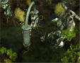 Screenshot zu Silverfall - 2006/04/SF_0426_Screen_03.jpg