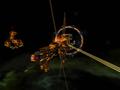 Screenshot zu Sword of the Stars - 2006/04/screen0020.jpg