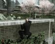 Screenshot zu Hitman: Blood Money - 2006/05/1147096720095.jpg