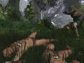 Screenshot zu Age of Conan: Hyborian Adventures - 2006/05/Dead.jpg