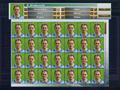 Screenshot zu Heimspiel 2006: Der Fußballmanager - 2006/05/PortraitAnpsassen.jpg