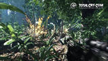 Screenshot zu Crysis - 2006/06/076.jpg