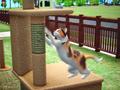 Screenshot zu Die Sims 2: Haustiere - 2006/07/1154328214323.jpg