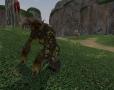 Screenshot zu Everquest 2: Echoes of Faydwer - 2006/08/eq5.jpg