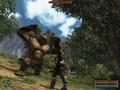 Screenshot zu Gothic 3 - 2006/09/1158827219520.jpg