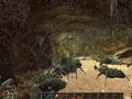 Screenshot zu Gothic 3 - 2006/10/1160560017972.JPG