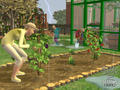 Screenshot zu Die Sims 2: Vier Jahreszeiten - 2006/12/sims25.jpg