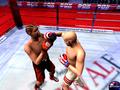 Screenshot zu Boxsport Manager - 2007/01/box10.jpg