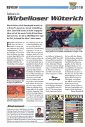 Artikel Vorschau Bild
