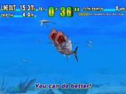 Zwei Fische beim Synchronbei&szlig;en.