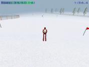 Der Super G in Winter Spiele 2002 ist mit Slalom-Stangen gesetzt und weist Riesenslalom-Torabstände auf - wie realistisch!