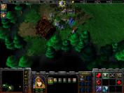 Warcraft 3 - die neue Karte spielt im "Dol Eryn".