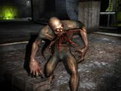 [b]Stalker[/b]
Der absolute Verkaufsschlager aus dem Hause GSC Game World. Sie spielen einen Glücksritter, der in der verstrahlten Zone um Tschernobyl zu Reichtum kommen will. Dabei kommen Sie einer mächtigen Verschwörung auf die Schliche.