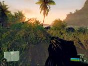 Crysis (Quelle: IGN)