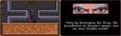 [b]The Lord of The Rings Volume 1[/b] (1990)