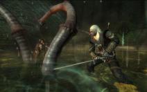 Screenshots zu The Witcher.
