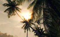 Crysis Warhead: Schatten über dem Fps-Paradies