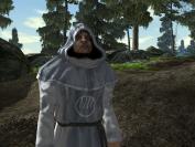 Eine typische Two-Worlds-Quest: Ein Mönch beklagt sich bei Ihrem Helden, dass eine Horde Gnome ein Waldstück unsicher macht. Dort befi ndet sich ein Portal, das die Reisen in Antaloor verkürzen kann und das der Geistliche gerne aktiviert haben möchte. Erst wenn Sie die Monster vertreiben, lässt sich die Passage nutzen.