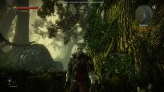 The Witcher 2 - schon Mitte Mai heißt es für den Hexer, neue Abenteuer zu bestehen.
