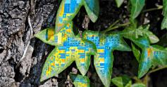 Ivy-Bridge-Dualcores im Test: Core i3-3240 und Pentium G2120