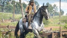 Bild zu den Vorbesteller-Inhalten von RDR2.