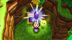 Zelda erhält einen lila Rubin aus einer Truhe