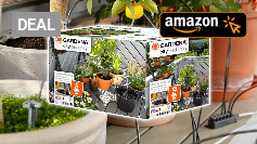 Befristetes Angebot: Gardena Urlaubsbewässerung für unter 2 Euro pro Pflanze bei Amazon
