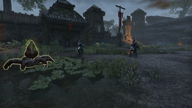 TESO: Blackwood -&nbsp;Eindrücke aus Felshain