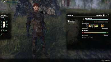 TESO: Gefährten in Blackwood - Bastian hat die Maximalstufe 20 erreicht.