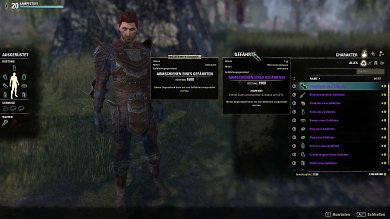 TESO: Gefährten in Blackwood - Im Laufe eures Abenteuers könnt ihr euren Gefährten mit besserer Ausrüstung ausstatten.