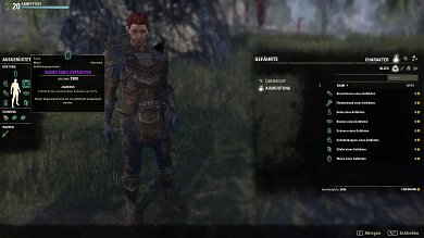TESO: Gefährten in Blackwood - Die Ausrüstung verbessert euren Gefährten in bestimmten Bereichen.