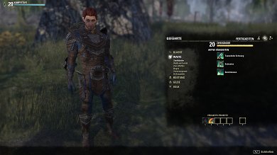 TESO: Gefährten in Blackwood - Entscheidet euch für einen Waffentypen und schaltet so die zugehörigen Fertigkeiten frei.